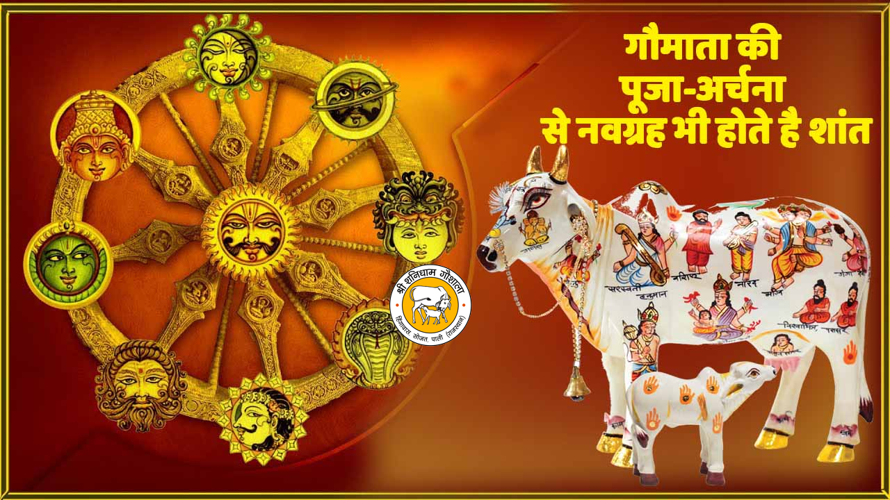 गौमाता की पूजा-अर्चना से नवग्रह भी होते है शांत 